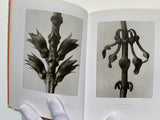 Karl Blossfeldt (TASCHEN Icons Series)