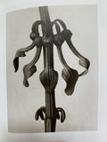 Karl Blossfeldt (TASCHEN Icons Series)
