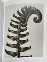 Karl Blossfeldt (TASCHEN Icons Series)