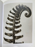 Karl Blossfeldt (TASCHEN Icons Series)