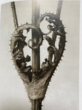 Karl Blossfeldt (TASCHEN Icons Series)
