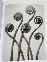 Karl Blossfeldt (TASCHEN Icons Series)
