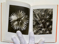 Karl Blossfeldt (TASCHEN Icons Series)
