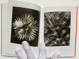 Karl Blossfeldt (TASCHEN Icons Series)