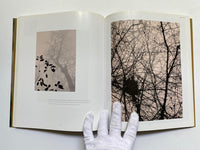 The World of Lith Printing