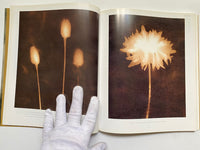 The World of Lith Printing