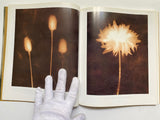 The World of Lith Printing