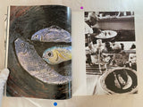 Picasso:  Painter And Sculptor In Clay