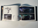The Art of Avatar