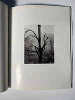 Singular images by Ansel Adams