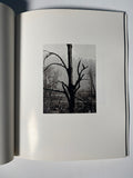 Singular images by Ansel Adams