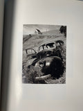 Singular images by Ansel Adams