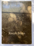 Joseph Beuys by Caroline Tisdall