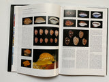 Cowries and their Relatives of Southern Africa By William Rune Liltved