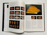 Cowries and their Relatives of Southern Africa By William Rune Liltved