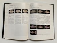 Cowries and their Relatives of Southern Africa By William Rune Liltved