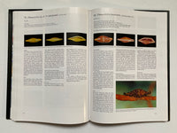 Cowries and their Relatives of Southern Africa By William Rune Liltved