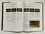 Cowries and their Relatives of Southern Africa By William Rune Liltved