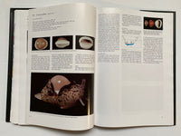 Cowries and their Relatives of Southern Africa By William Rune Liltved