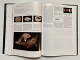 Cowries and their Relatives of Southern Africa By William Rune Liltved