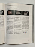 Cowries and their Relatives of Southern Africa By William Rune Liltved