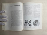 The Arts of the Hausa:  a Commonwealth Institute exhibition : World of Islam Festival 1976