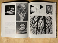 The Magic Mirror of M.C. Escher