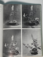 Japanese Flower Arrangement: Ikebana