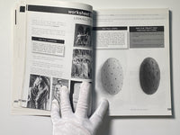 Compendium of Taxi Art Books Educational Supplements