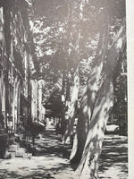 Trees in Urban Design by Henry F. Arnold