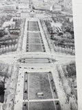 Trees in Urban Design by Henry F. Arnold