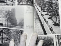 Trees in Urban Design by Henry F. Arnold