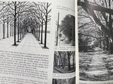 Trees in Urban Design by Henry F. Arnold