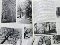 Trees in Urban Design by Henry F. Arnold