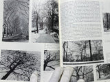 Trees in Urban Design by Henry F. Arnold