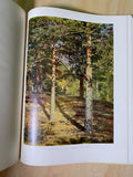 The Four Seasons: Landscape in Russian Painting