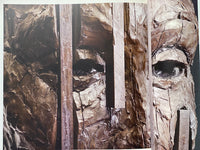 Lionel Smit: Submerge