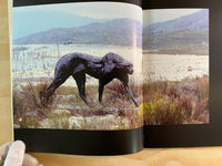 Shapeshifting by Dylan Lewis